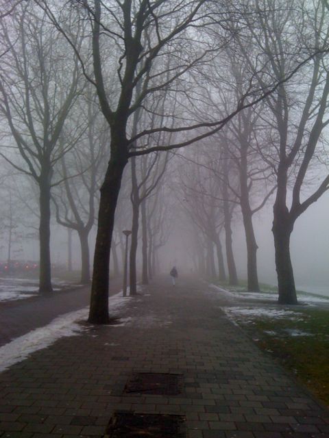 2010-SPAREU-1-Chris-Arjen-fog 2010-SPAREU-1-Chris-Arjen-fog
